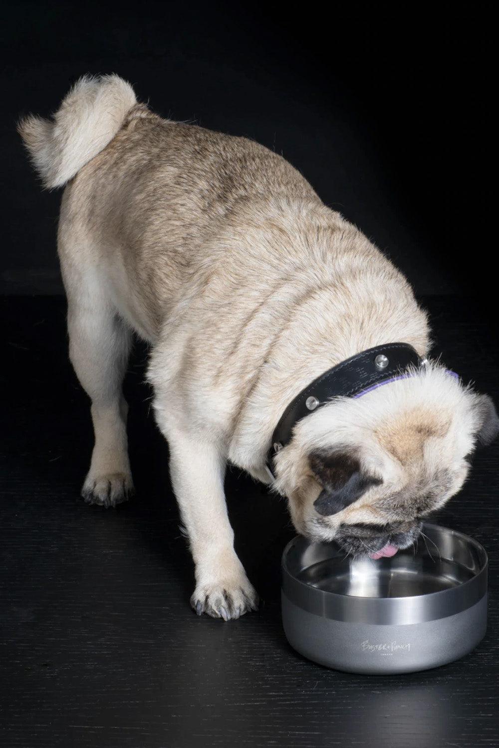 Dog Bowl Gun Metal - 1