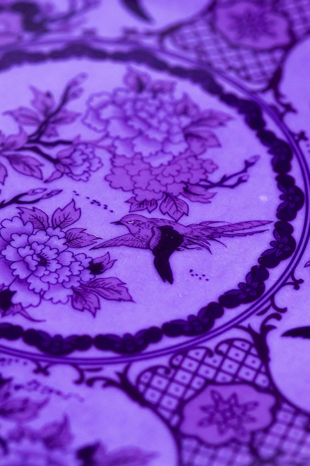 Eternal Lavender Dusk Pasta Tabak (2'li Set) - 0