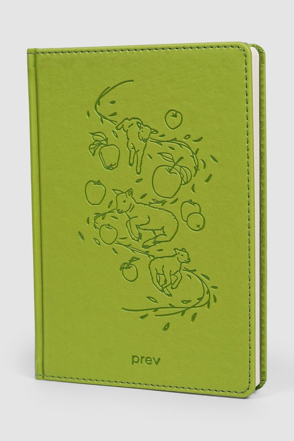 Counting Lives Defter – A5 Elma Derisi Ciltli - 3