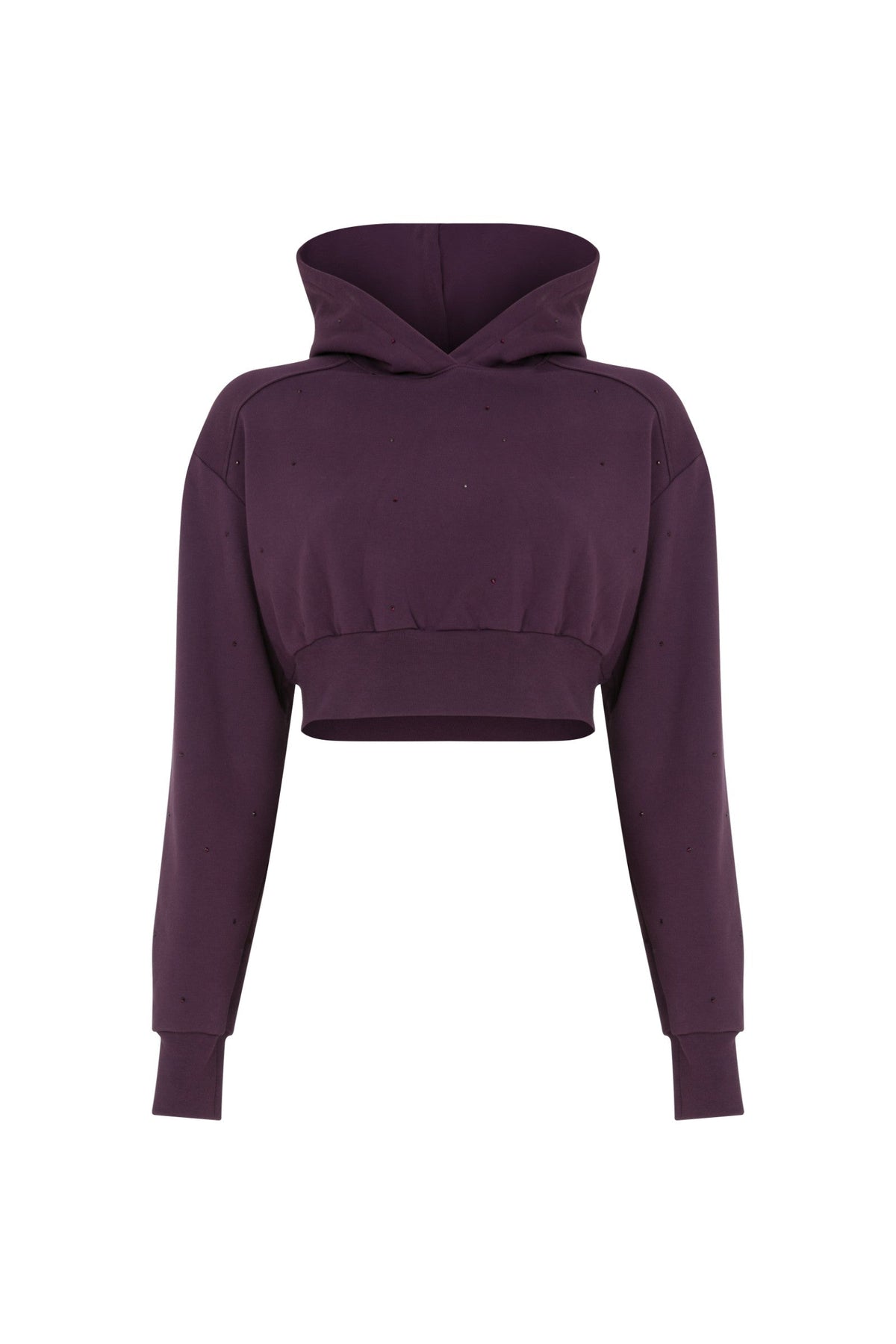 Ace Nayman-Felix Rhinestone Cropped Hoodie-Sweatshirts & Hoodies-2-fleurdirect.live