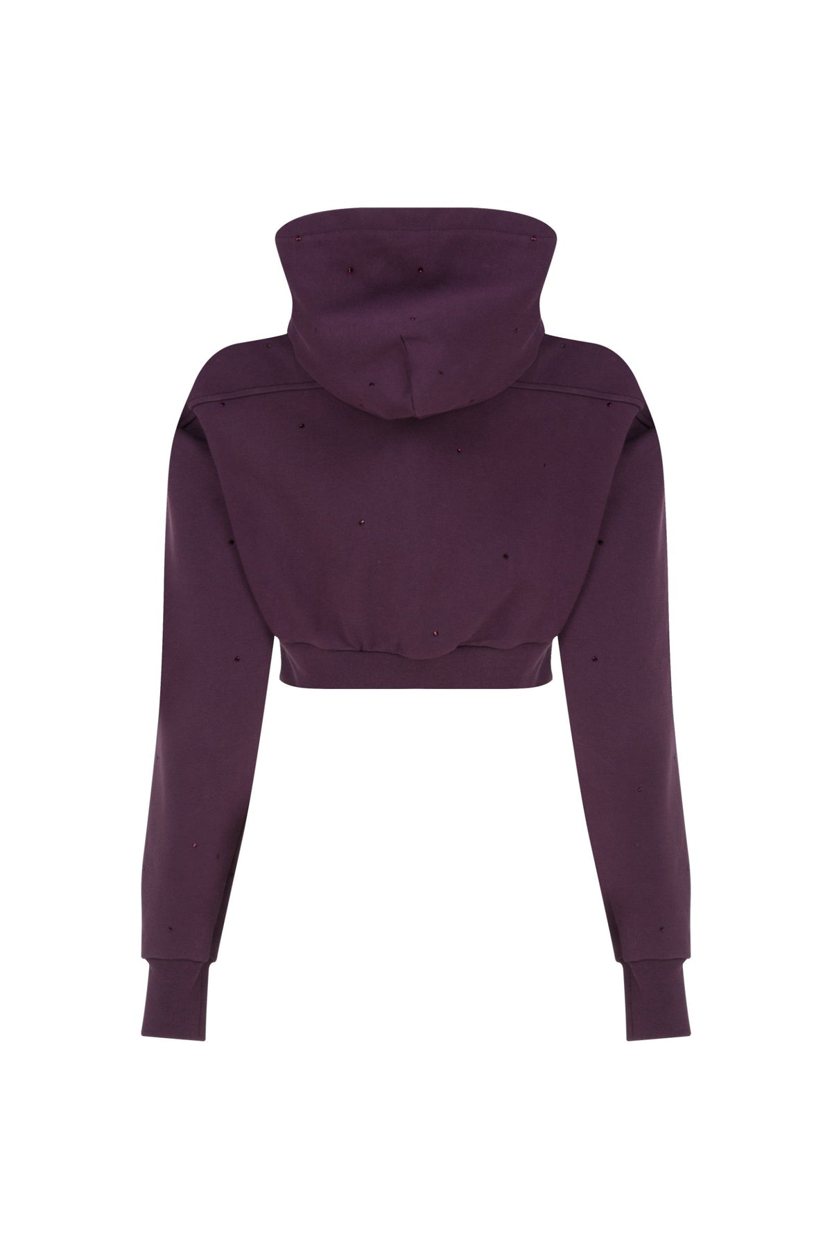 Ace Nayman-Felix Rhinestone Cropped Hoodie-Sweatshirts & Hoodies-3-fleurdirect.live