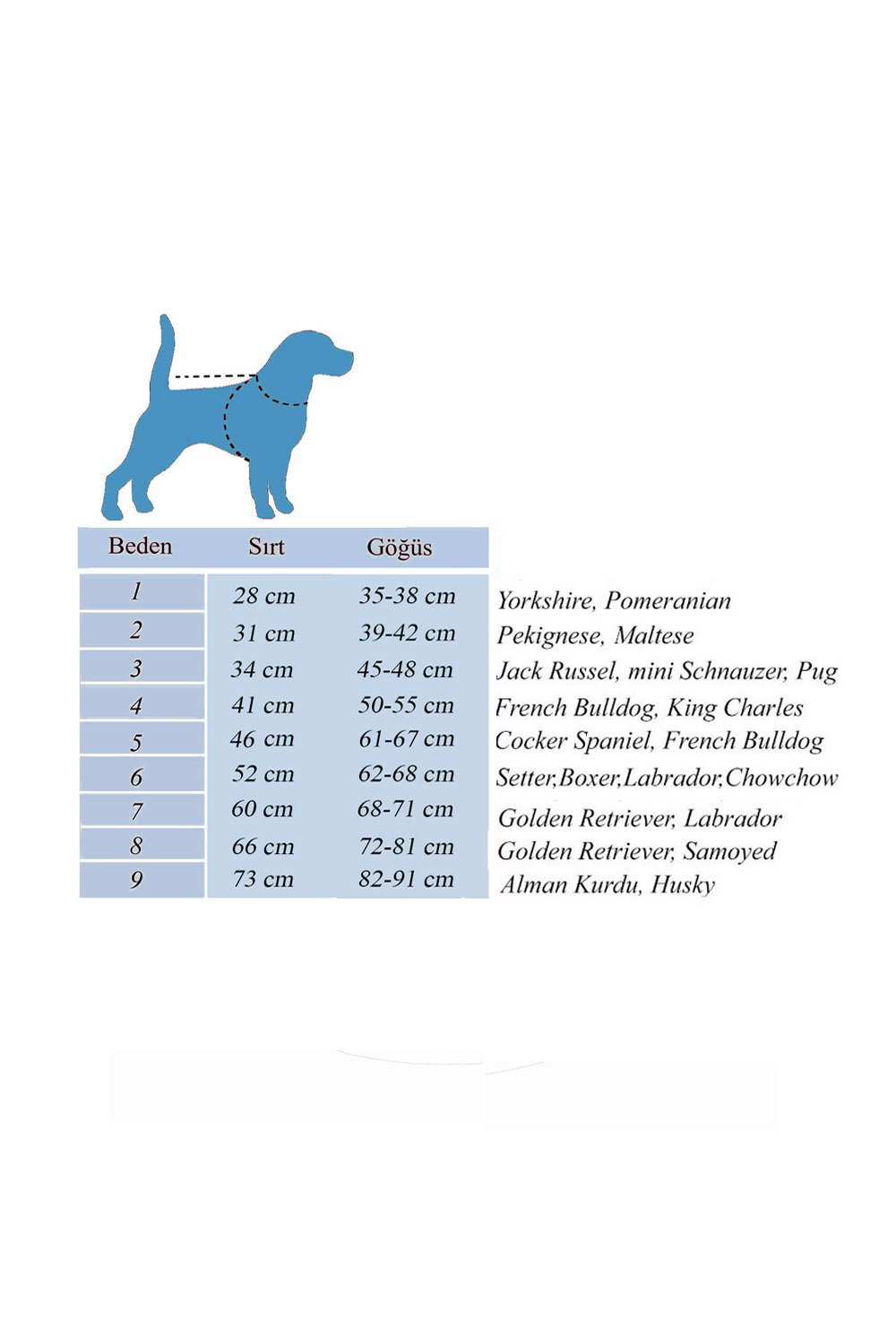 Alphadog Design-Space Coverall Light Pet Yağmurluk-Köpek-3-fleurdirect.live