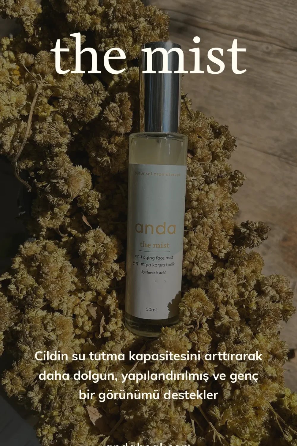 Anda Heal-The Mist - Hyaluronic Acid Tonik-Tonik-4-fleurdirect.live