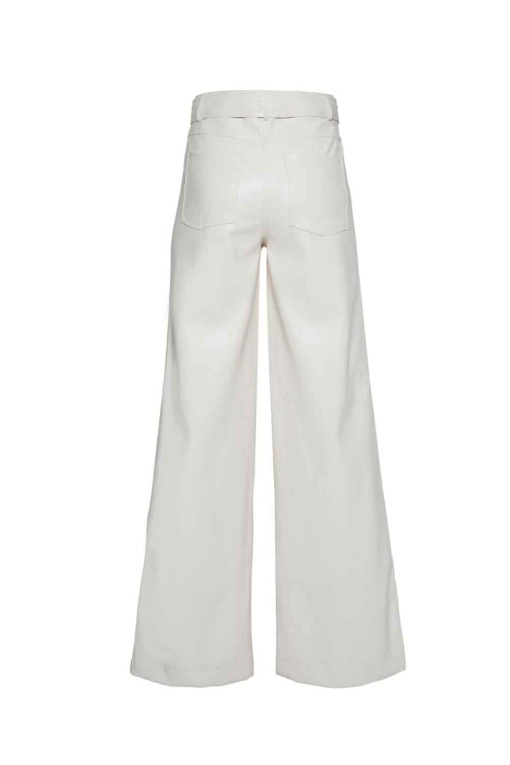 Ash. More Than Wear-Classy Leather Pants-Deri Pantolon-2-fleurdirect.live