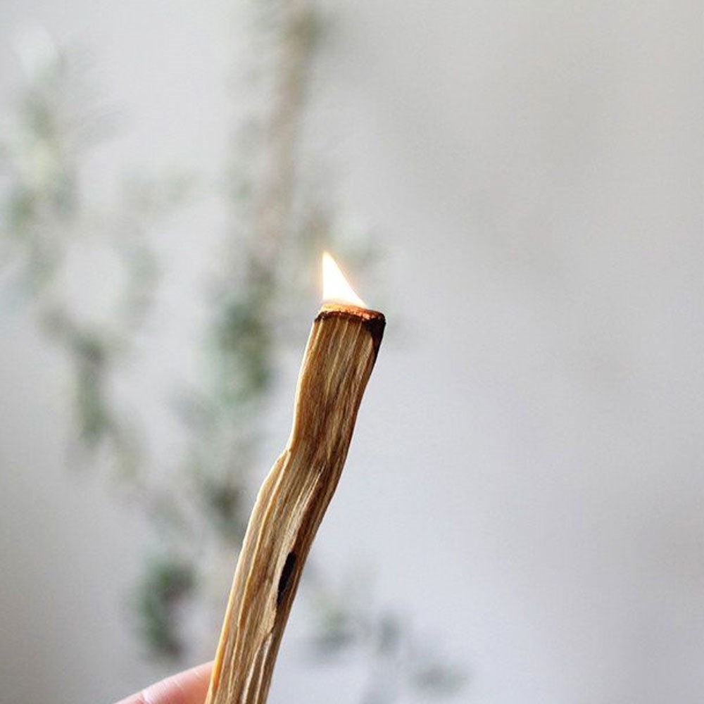 Natural Palo Santo Tütsü Ağacı 4 Lü Set