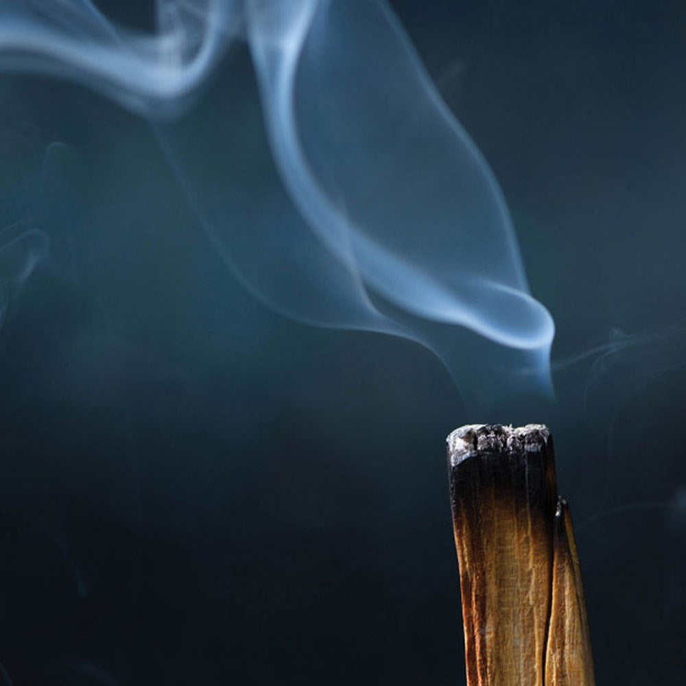Natural Palo Santo Tütsü Ağacı 4 Lü Set