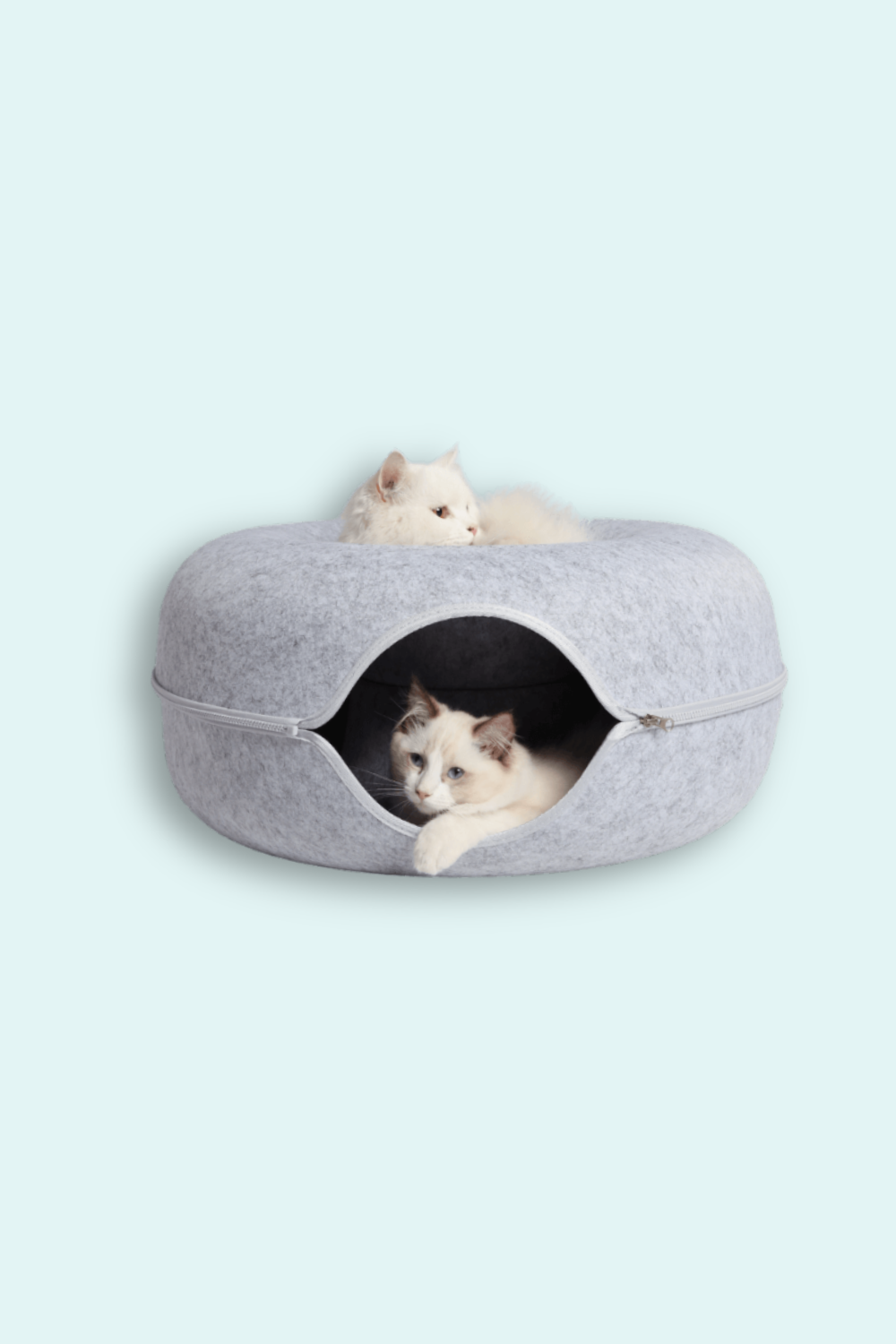 Coolizz-Donut Kedi Tüneli / Kedi Yatağı-Kedi-1-fleurdirect.live