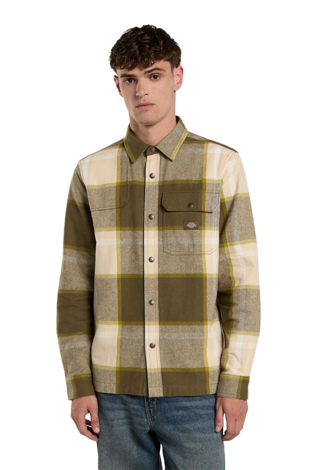 Dickies-Nimmons Ls Ekoseli Erkek Oduncu Gömlek-Gömlek-1-fleurdirect.live