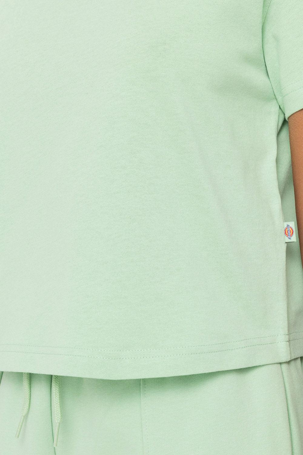Dickies-Oakport Quiet Green-T-Shirts-5-fleurdirect.live