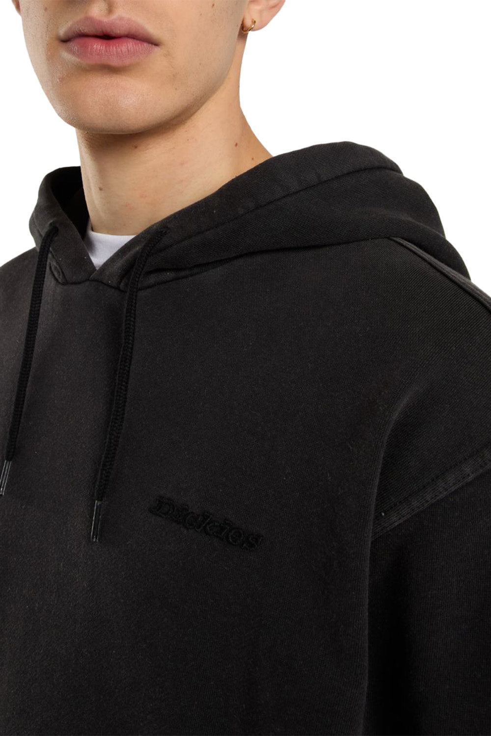 Dickies-Plentywood Hoodie Erkek Kapüşonlu Siyah Sweatshirt-Sweatshirts & Hoodies-2-fleurdirect.live