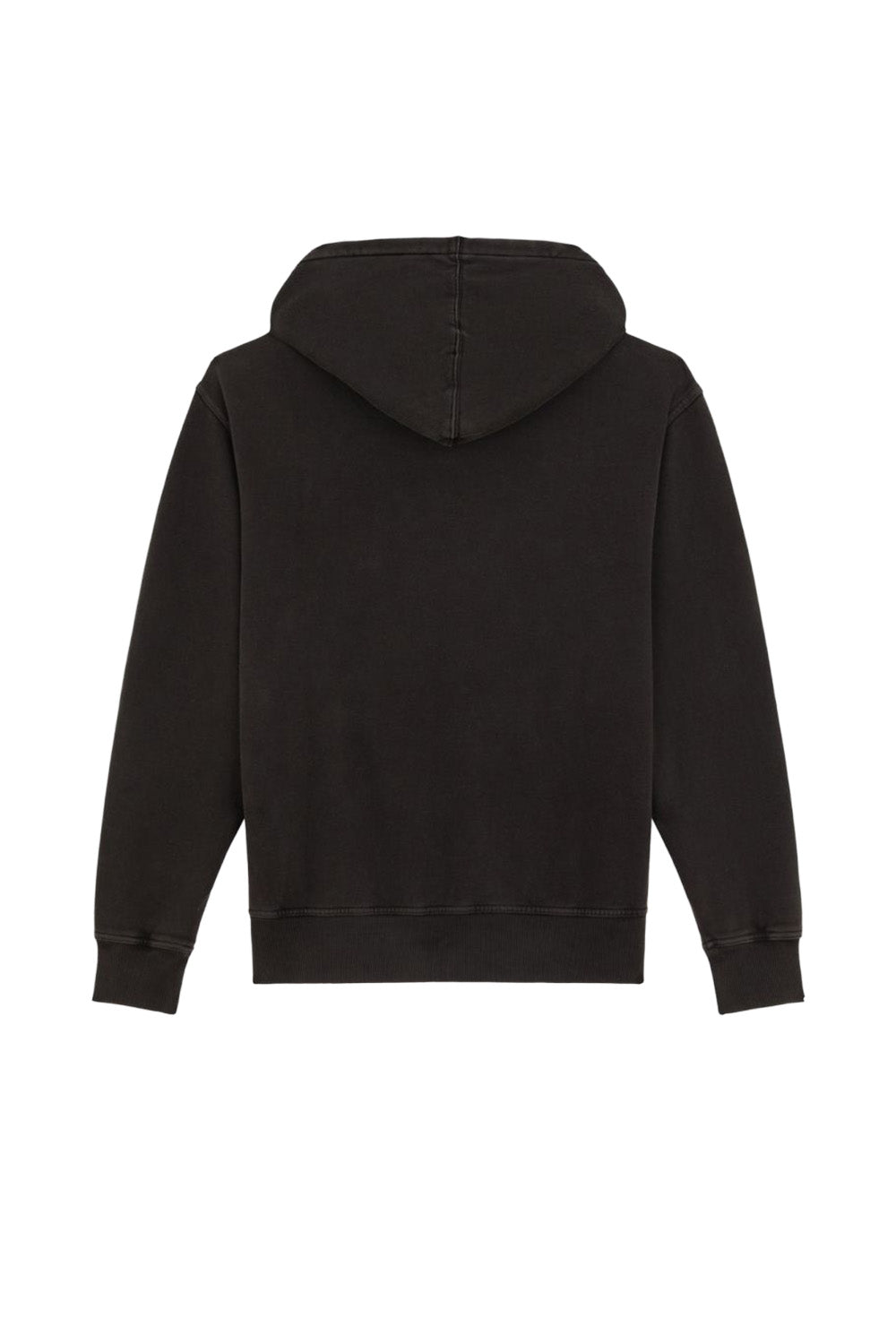 Dickies-Plentywood Hoodie Erkek Kapüşonlu Siyah Sweatshirt-Sweatshirts & Hoodies-5-fleurdirect.live