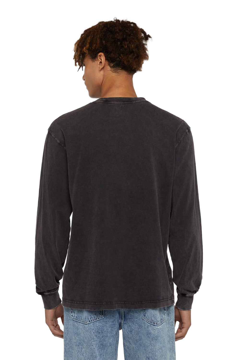 Dickies-Plentywood Tee Ls Erkek Yıkamalı Uzun Kollu T-Shirt-T-Shirts-2-fleurdirect.live