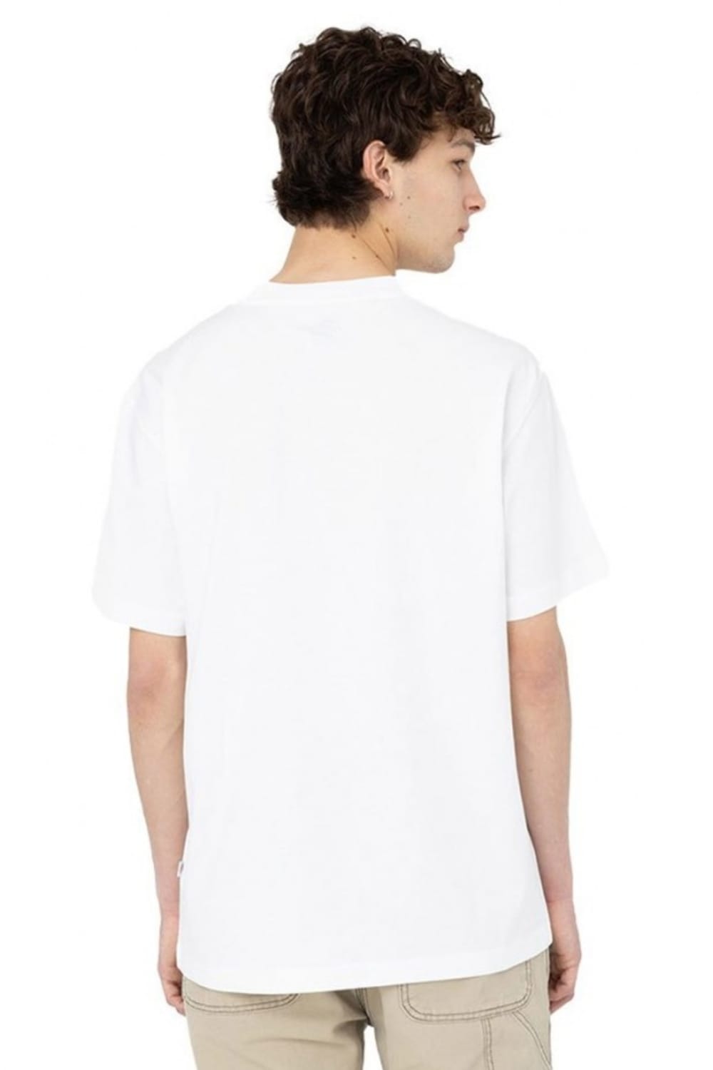 Dickies-Summerdale SS Tee White-T-Shirts-8-fleurdirect.live