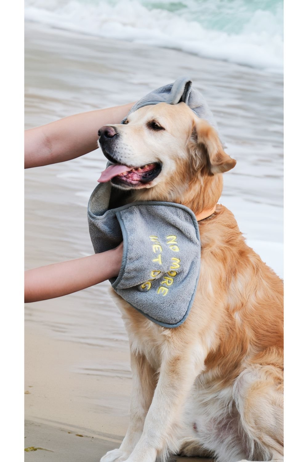 Eliphe-Eliphe Pet Havlusu-Köpek-1-fleurdirect.live