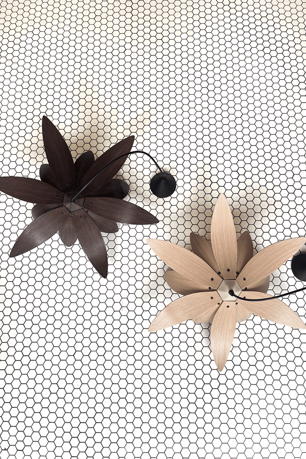 Fagus Wood-Lotus Avize – Ahşap Modern Ve Minimal Tasarım Avize, İskandinav Salon Ve Oturma Odası Aydınlatması (ceviz)-Avize-6-fleurdirect.live