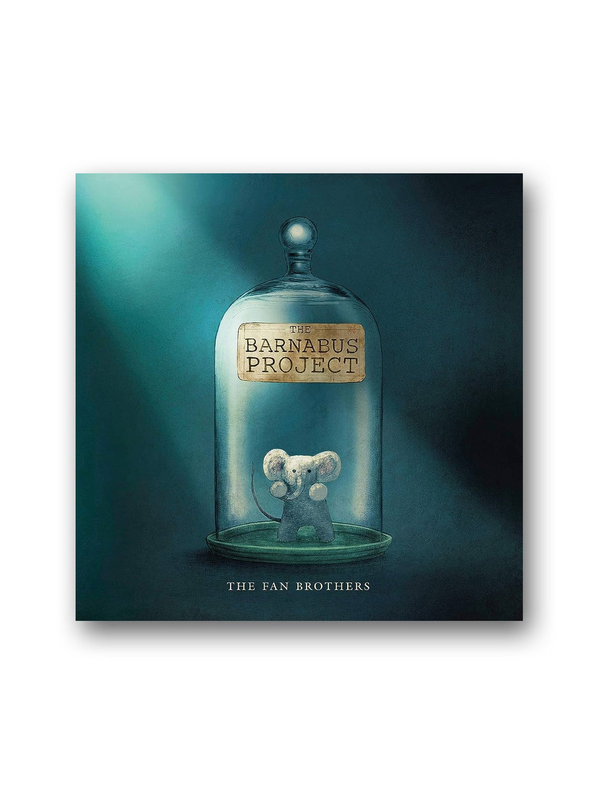 Frances Lincoln Publishers-The Barnabus Project-Kitap-1-fleurdirect.live
