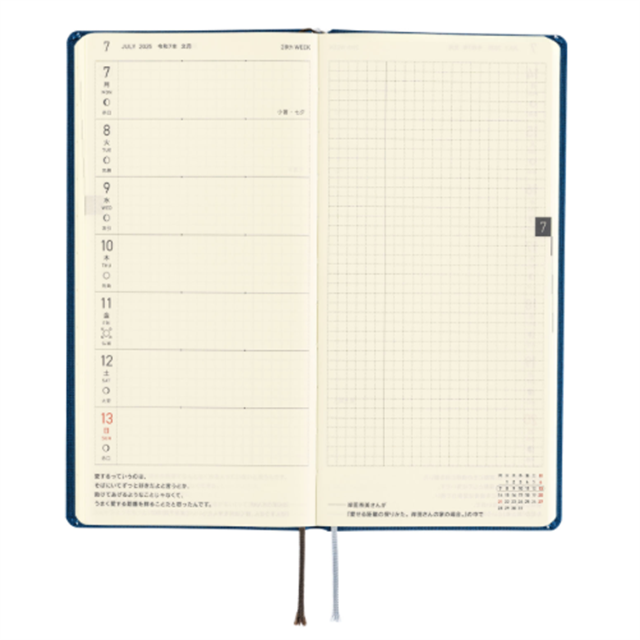 Hobonichi-Hobonichi Techo Weeks 2025 Mega Colors: Star Dust-Çizgili-5-fleurdirect.live