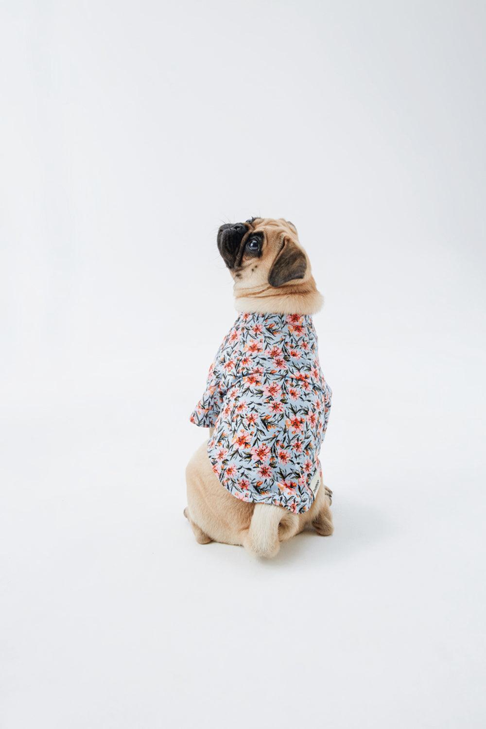 Hypet Fashion-Blue Floral Gömlek-Köpek-5-fleurdirect.live