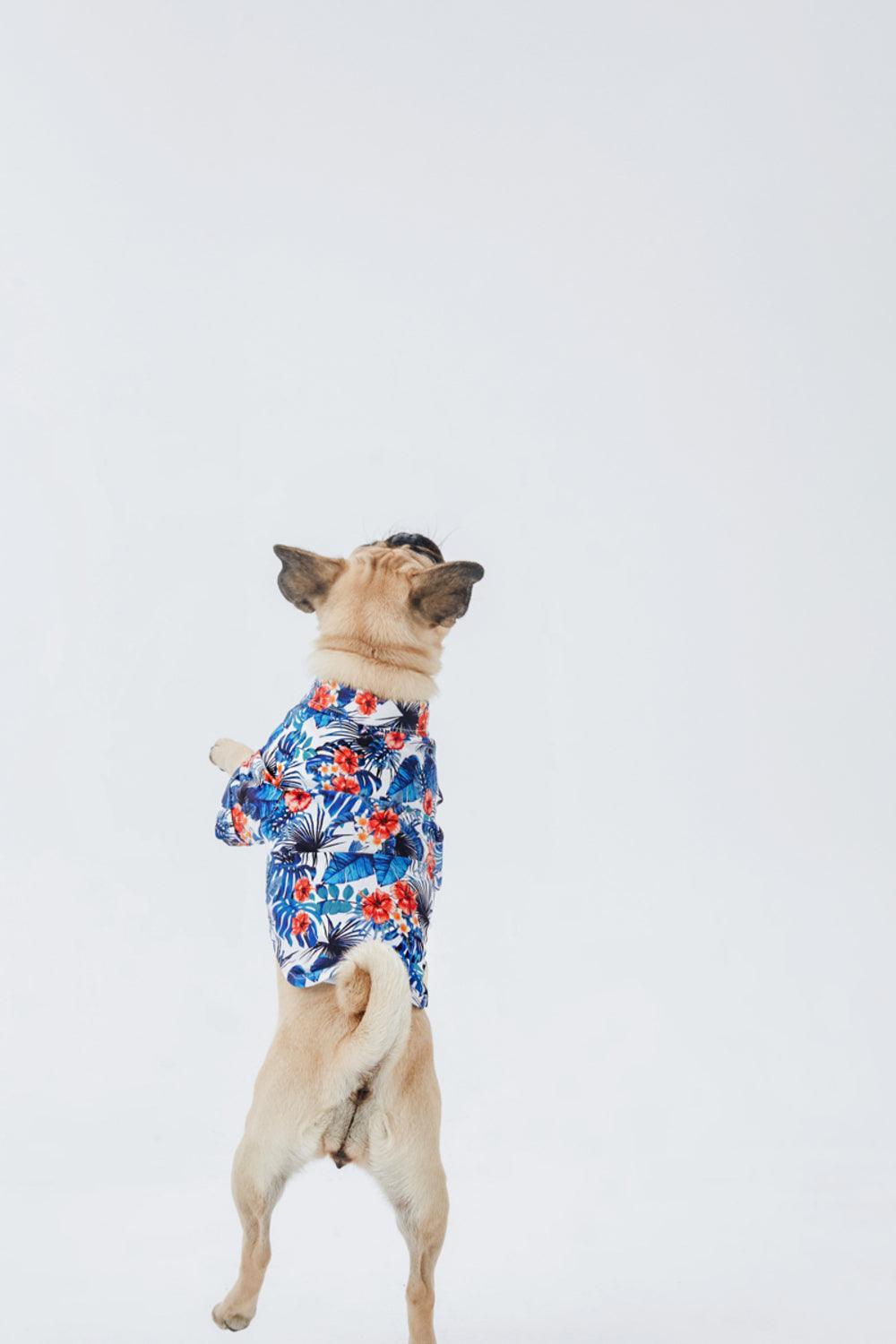 Hypet Fashion-Hawaii Gömlek-Köpek-6-fleurdirect.live