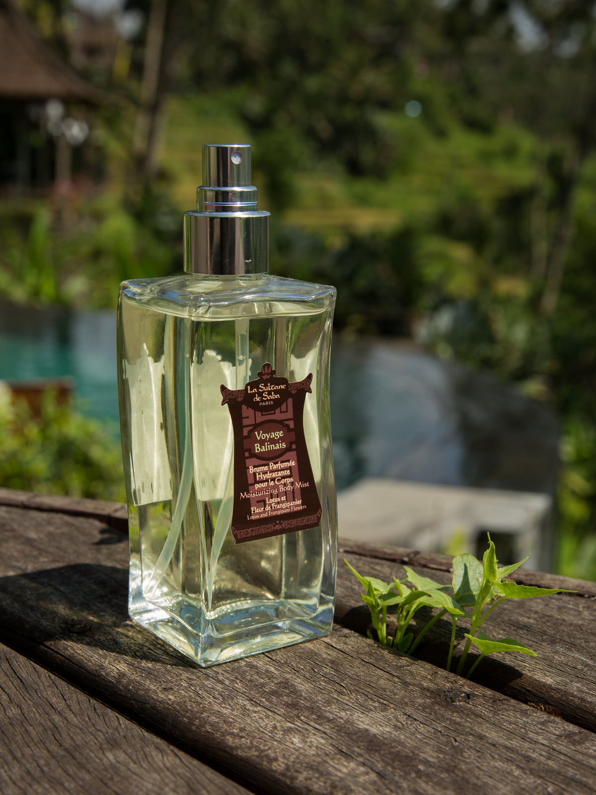 La Sultane De Saba-Mist Lotus And Frangipani Flower - Bali-Mist-2-fleurdirect.live