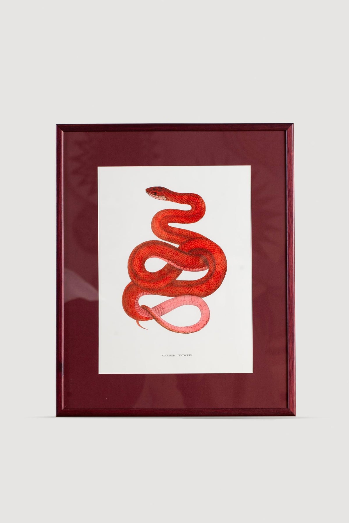Lasttouch-Serpent Serisi Tablo No:2-Tablo-1-fleurdirect.live