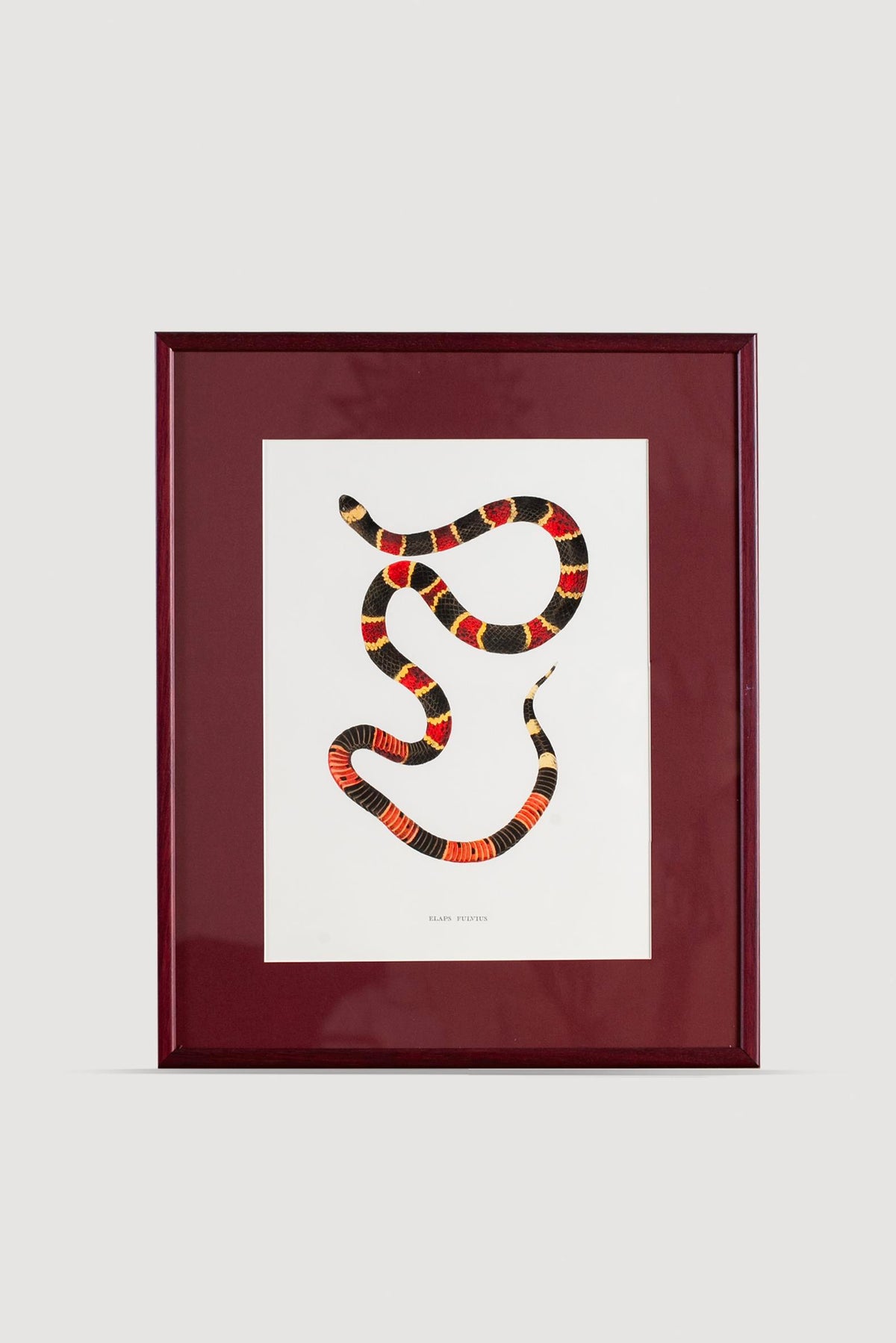 Lasttouch-Serpent Serisi Tablo No:7-Tablo-1-fleurdirect.live