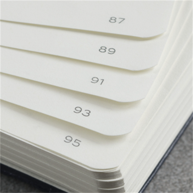 Leuchtturm 1917-Leuchtturm1917 Bauhaus Serisi Not Defteri, Orta Boy (A5), Sert Kapak, 251 Sayfa Mavi Noktalı Defter Black 359617-Noktalı-7-fleurdirect.live