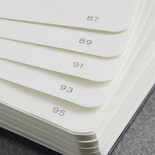 Leuchtturm 1917-Leuchtturm1917 Composition Notebook, B5, Yumuşak Kapak, 123 Sayfa Not Defteri, Noktalı, Sage 363928-Noktalı-4-fleurdirect.live