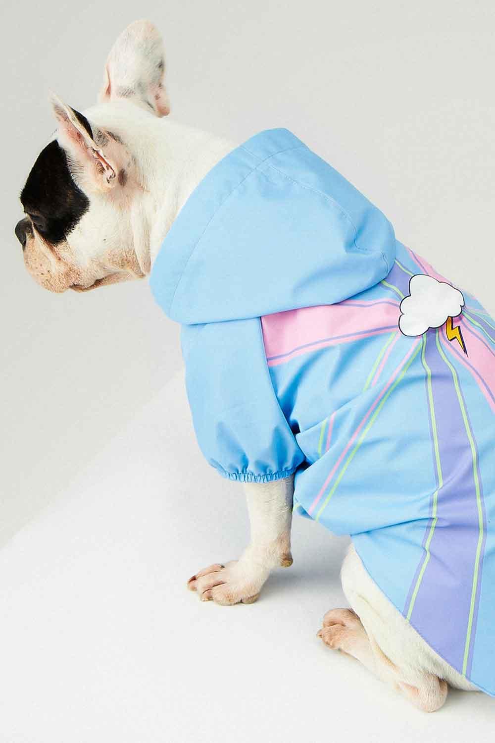 Little Monsters-Blue Single Cloud Yağmurluk-Köpek-8-fleurdirect.live