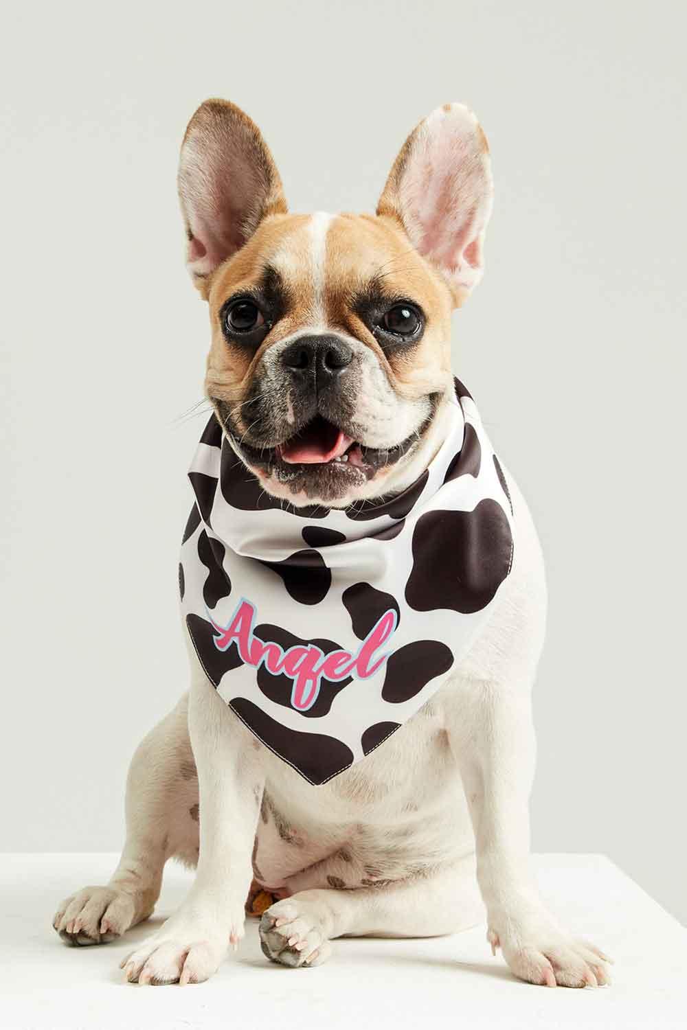 Little Monsters-Cow Print Angel Bandana-Köpek-1-fleurdirect.live