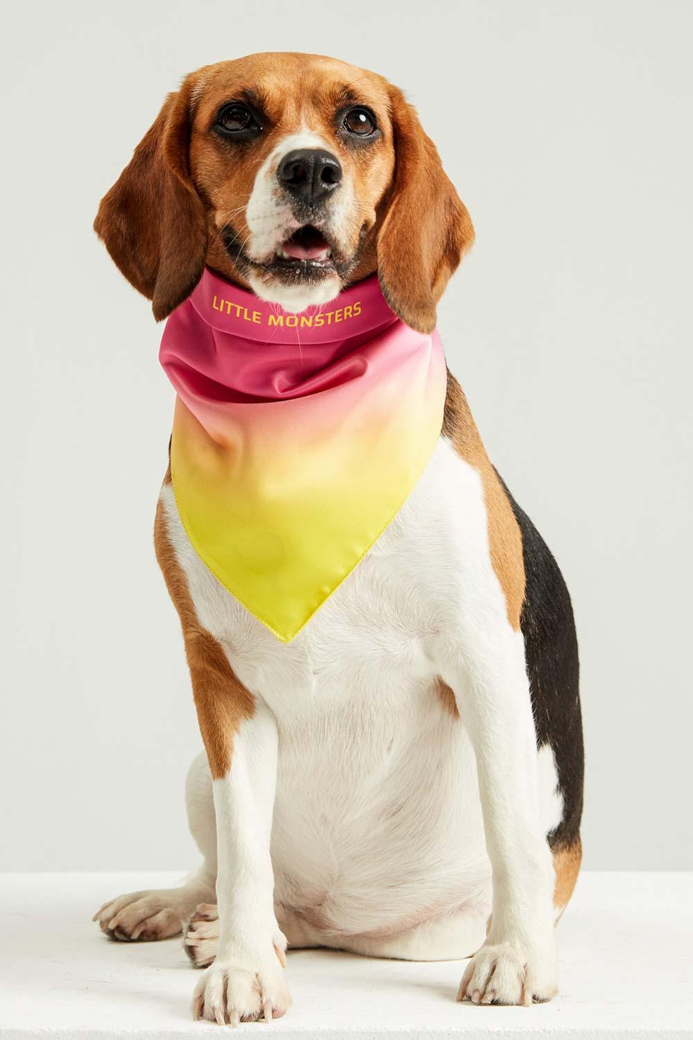 Little Monsters-Hearts Candy Bandana-Köpek-1-fleurdirect.live