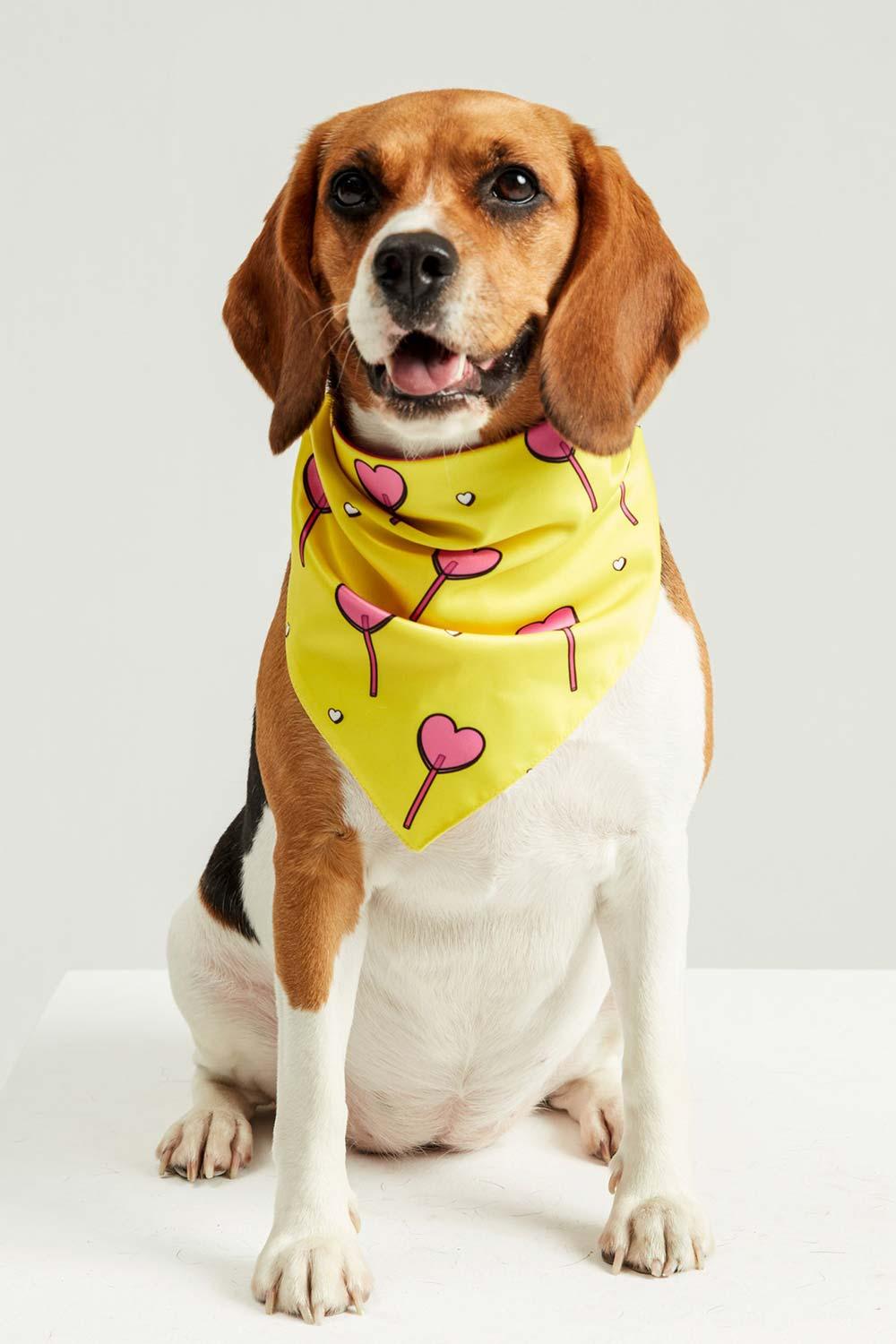 Little Monsters-Hearts Candy Bandana-Köpek-5-fleurdirect.live