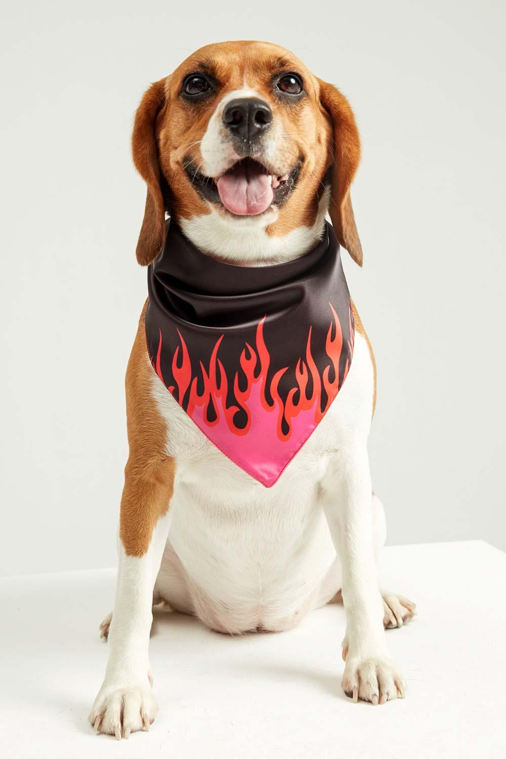 Little Monsters-LM Black Fire Bandana-Köpek-1-fleurdirect.live
