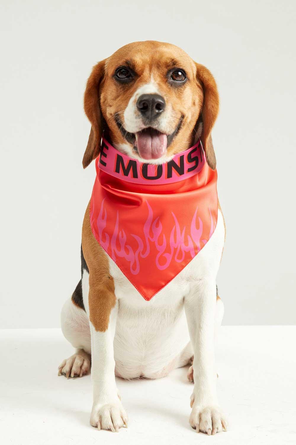 Little Monsters-LM Fire Bandana-Köpek-2-fleurdirect.live