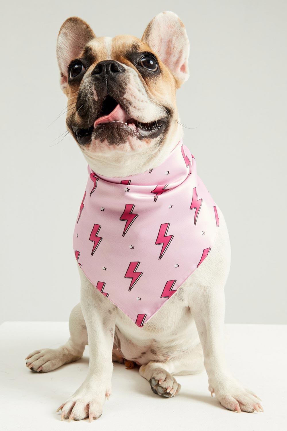 Little Monsters-Pink Flash Bandana-Köpek-1-fleurdirect.live