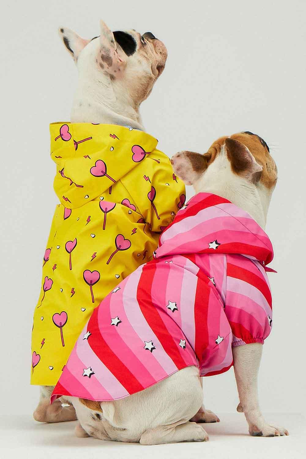 Little Monsters-Pink Swirl Yağmurluk-Köpek-3-fleurdirect.live