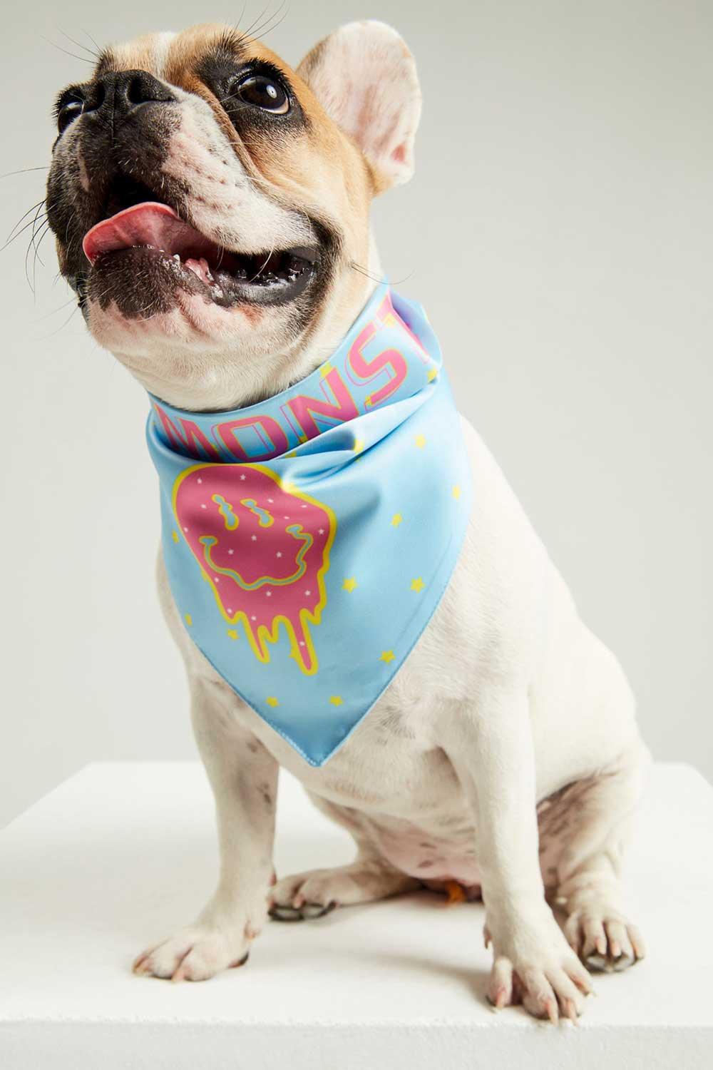Little Monsters-Smells Like Summer Bandana-Köpek-1-fleurdirect.live