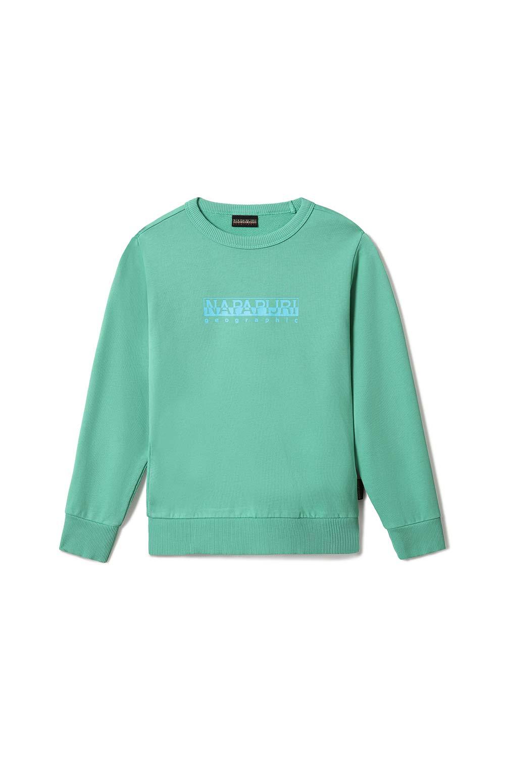 Napapijri-Kids B-Box C 1 Green Spruce-Sweatshirts & Hoodies-1-fleurdirect.live