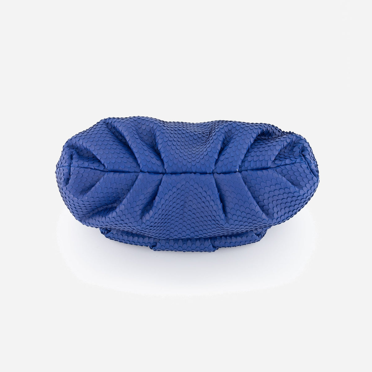 Otrera-Leda Snake - Blue-Clutch-3-fleurdirect.live
