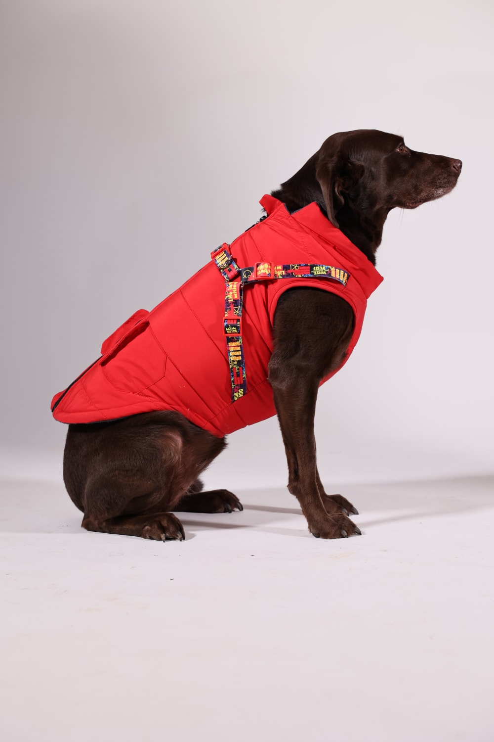 Pawlook-Pawlook, Göğüs Tasmalı, Köpek Montu, Köpek Yağmurluğu, Siyah-Köpek-2-fleurdirect.live