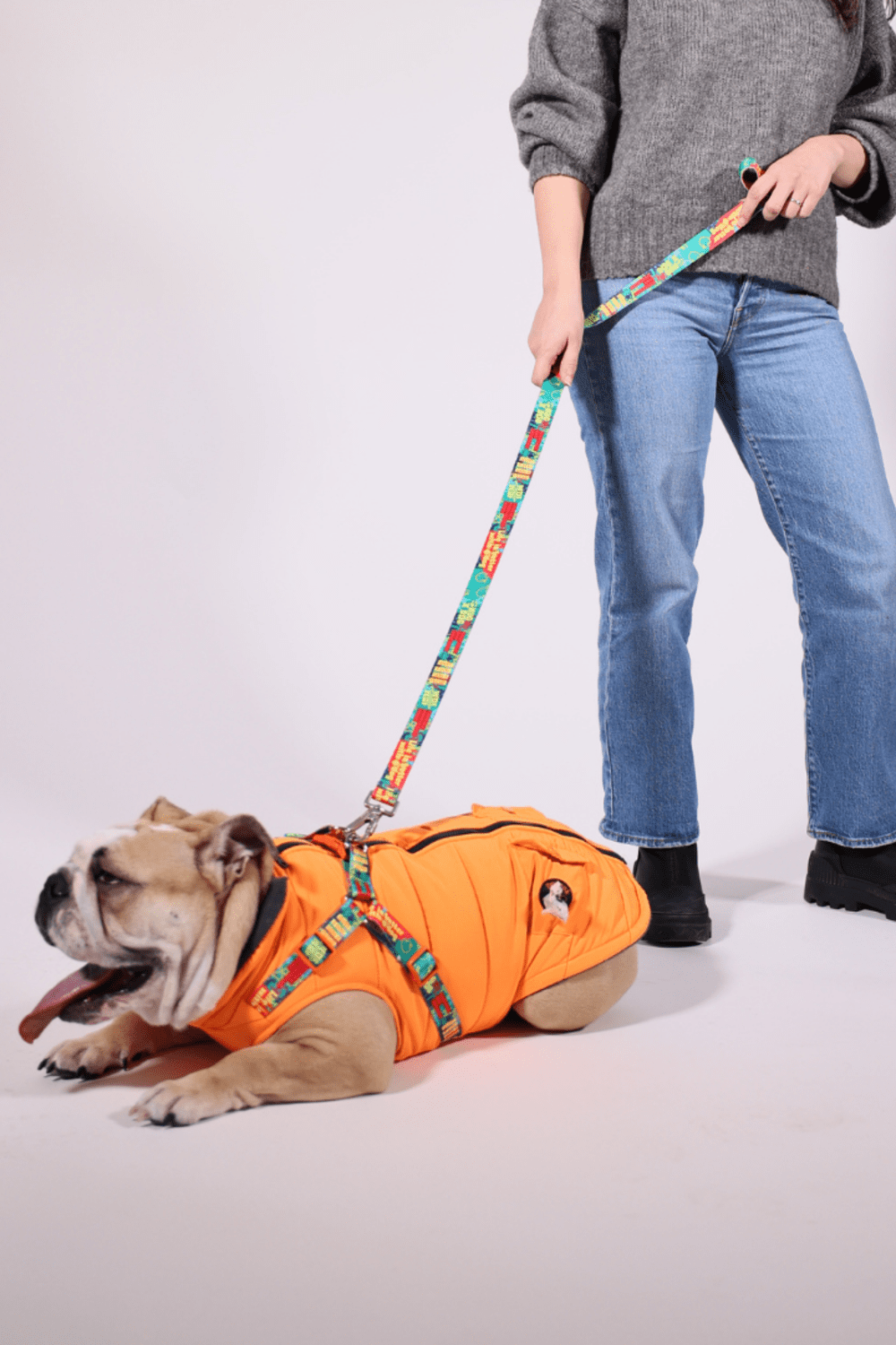Pawlook-Pawlook , Göğüs Tasmalı, Köpek Montu, Köpek Yağmurluğu, Turuncu-Köpek-1-fleurdirect.live