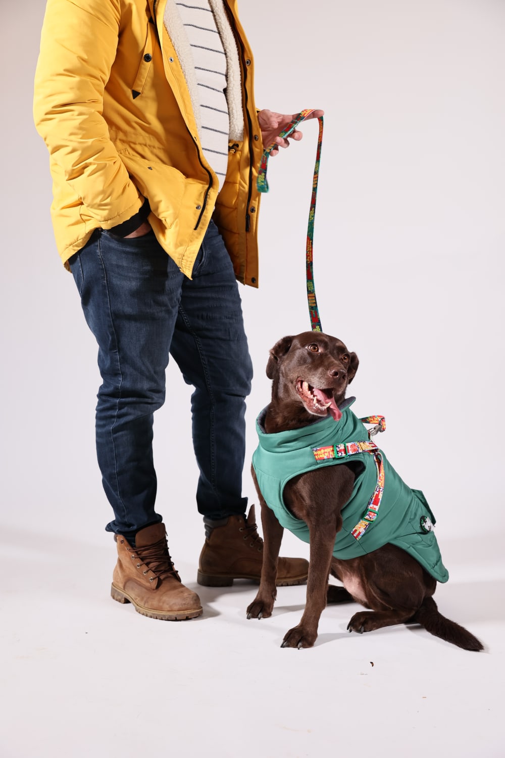 Pawlook-Pawlook , Göğüs Tasmalı, Köpek Montu, Köpek Yağmurluğu, Yeşil-Köpek-1-fleurdirect.live