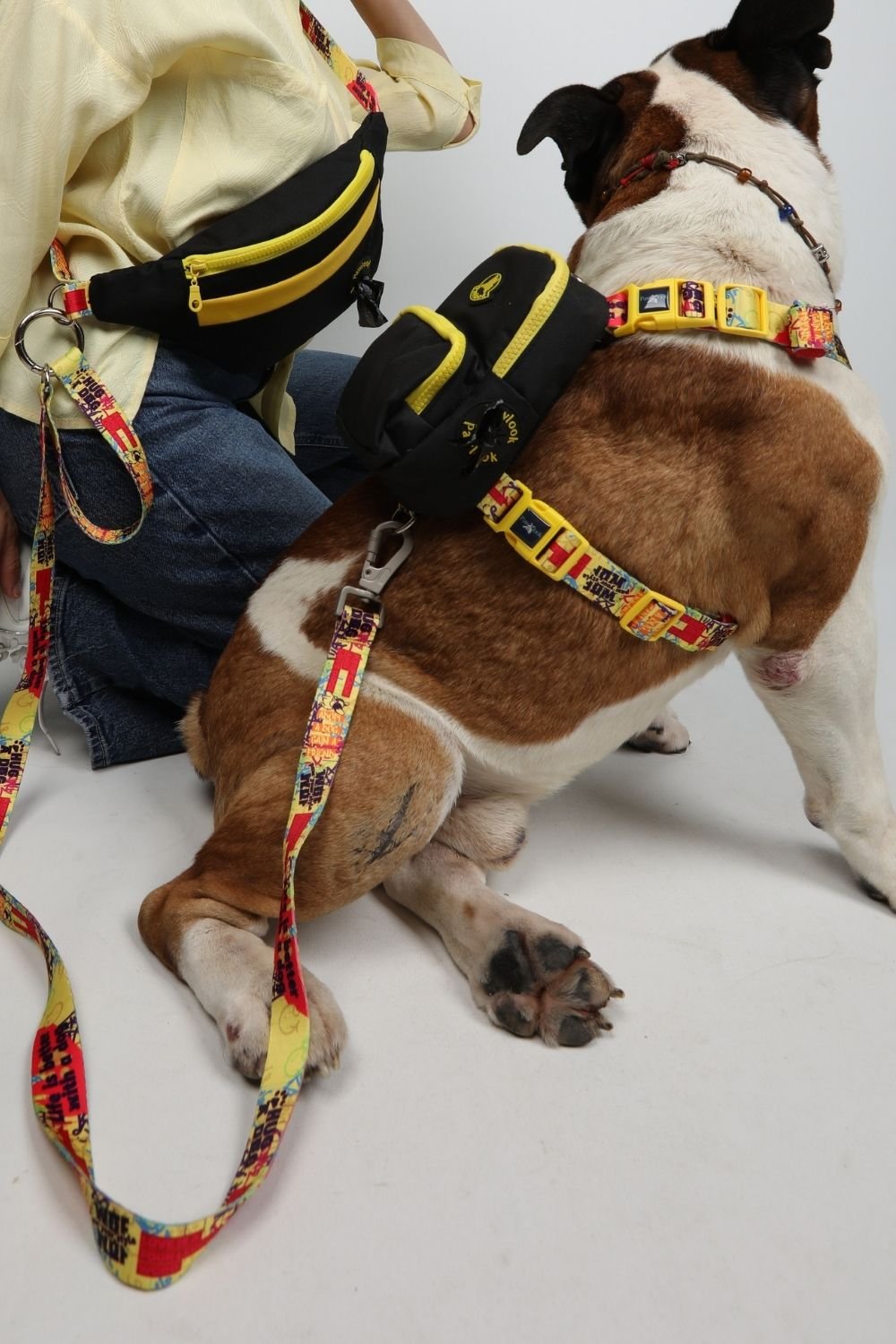 Pawlook-Pawlook , Siyah, Handsfree, Gezdirme Tasması, Eller Serbest, Gezdirme Kayışı, Handsfree Tasma-Köpek-1-fleurdirect.live