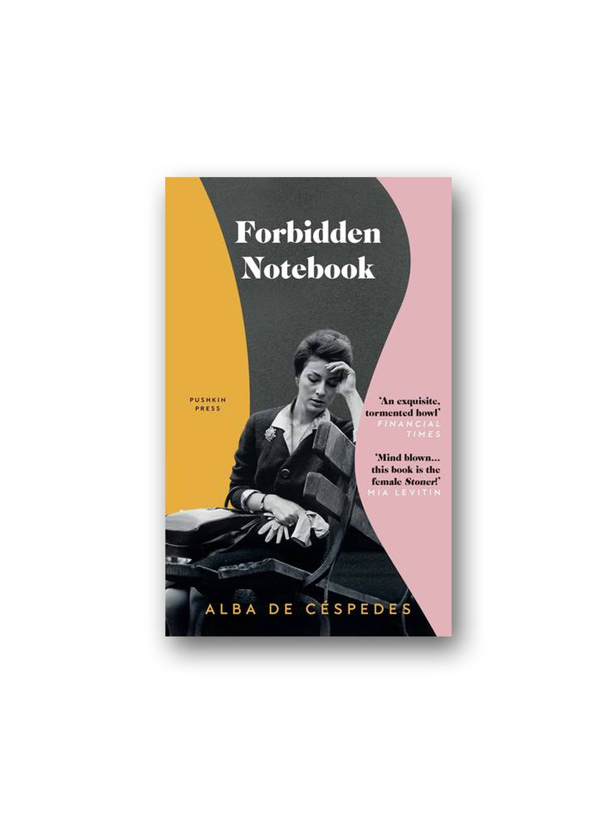 Pushkin Press-Forbidden Notebook-Kitap-1-fleurdirect.live