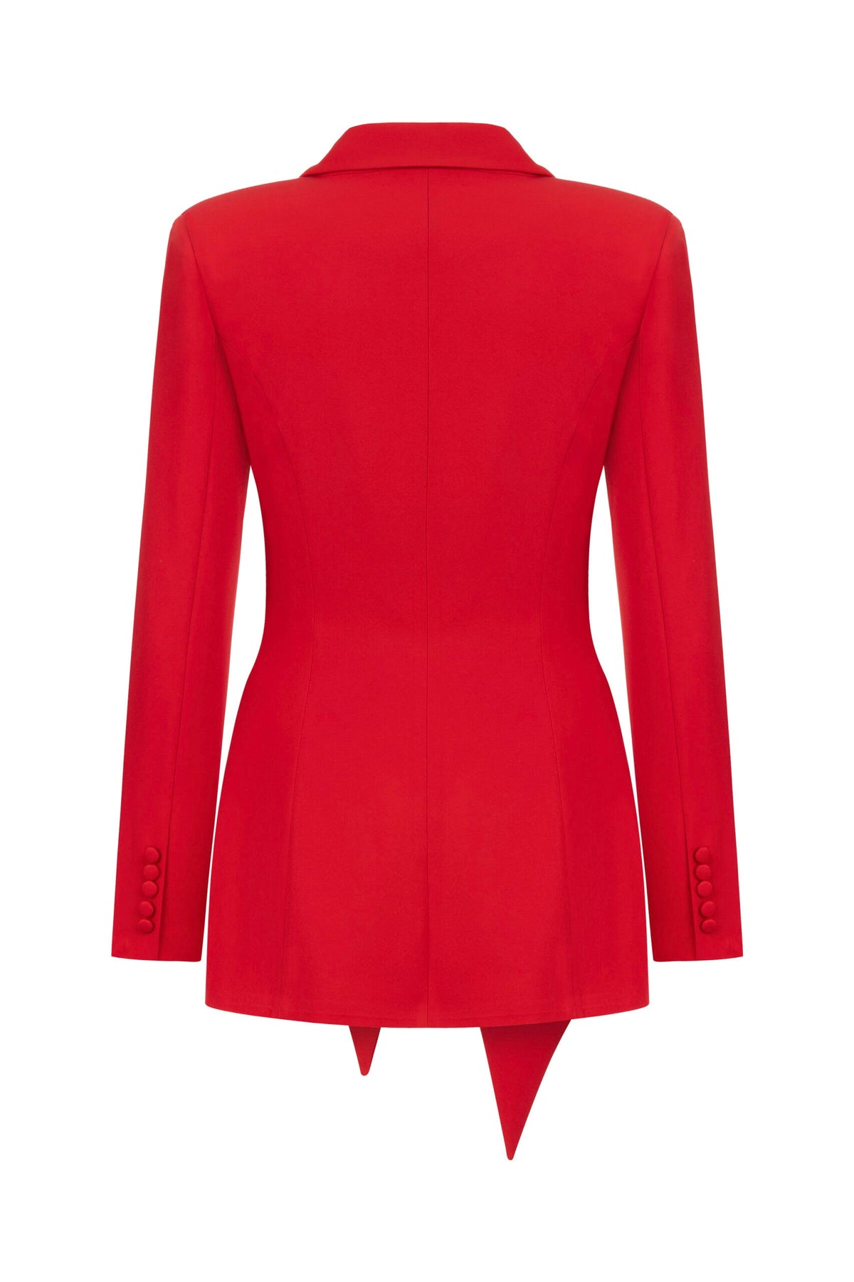 HAILEY BLAZER