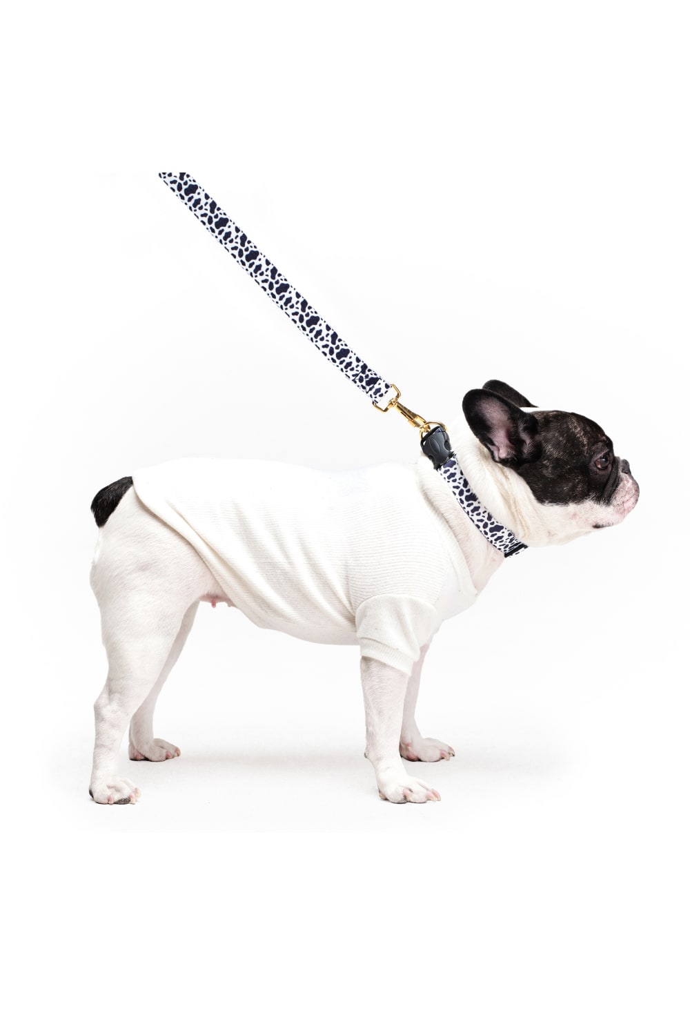 Siena Couture-Bianco | T-shirt-Köpek-3-fleurdirect.live