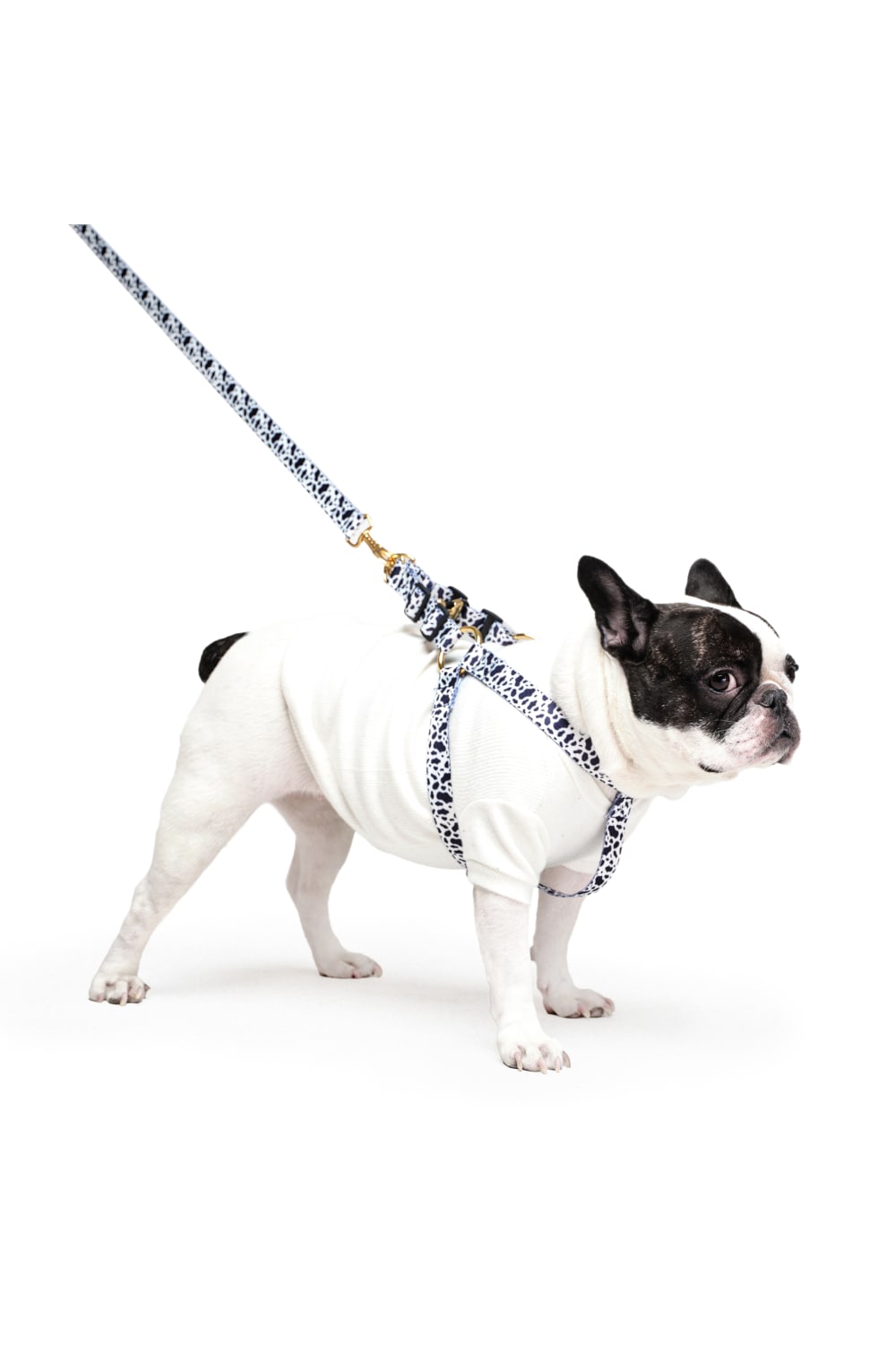 Siena Couture-Bianco | T-shirt-Köpek-4-fleurdirect.live