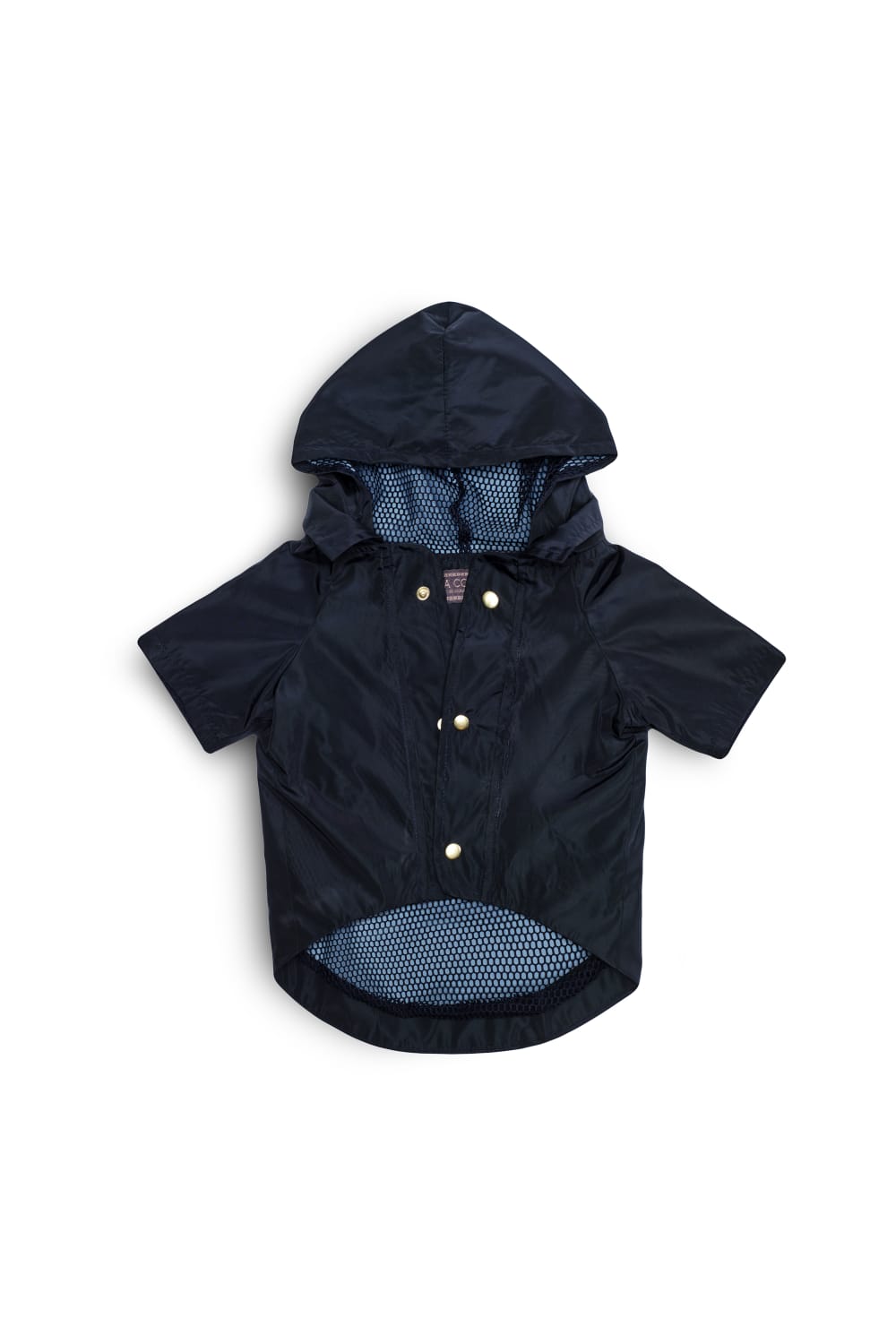 Siena Couture-Fontebranda Blue | Yağmurluk-Köpek-3-fleurdirect.live