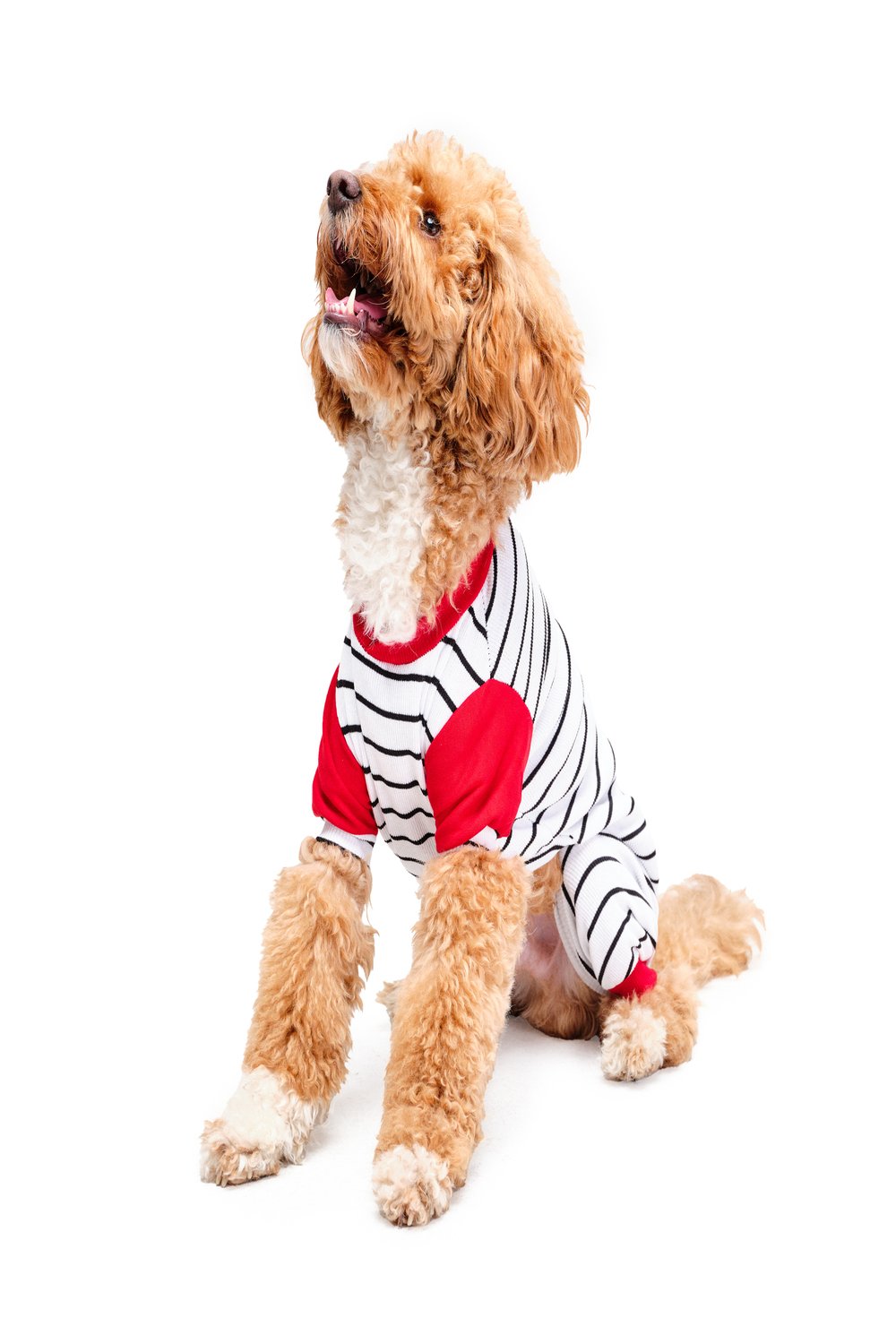 Siena Couture-Pigiama Thin | Pijama-Köpek-3-fleurdirect.live