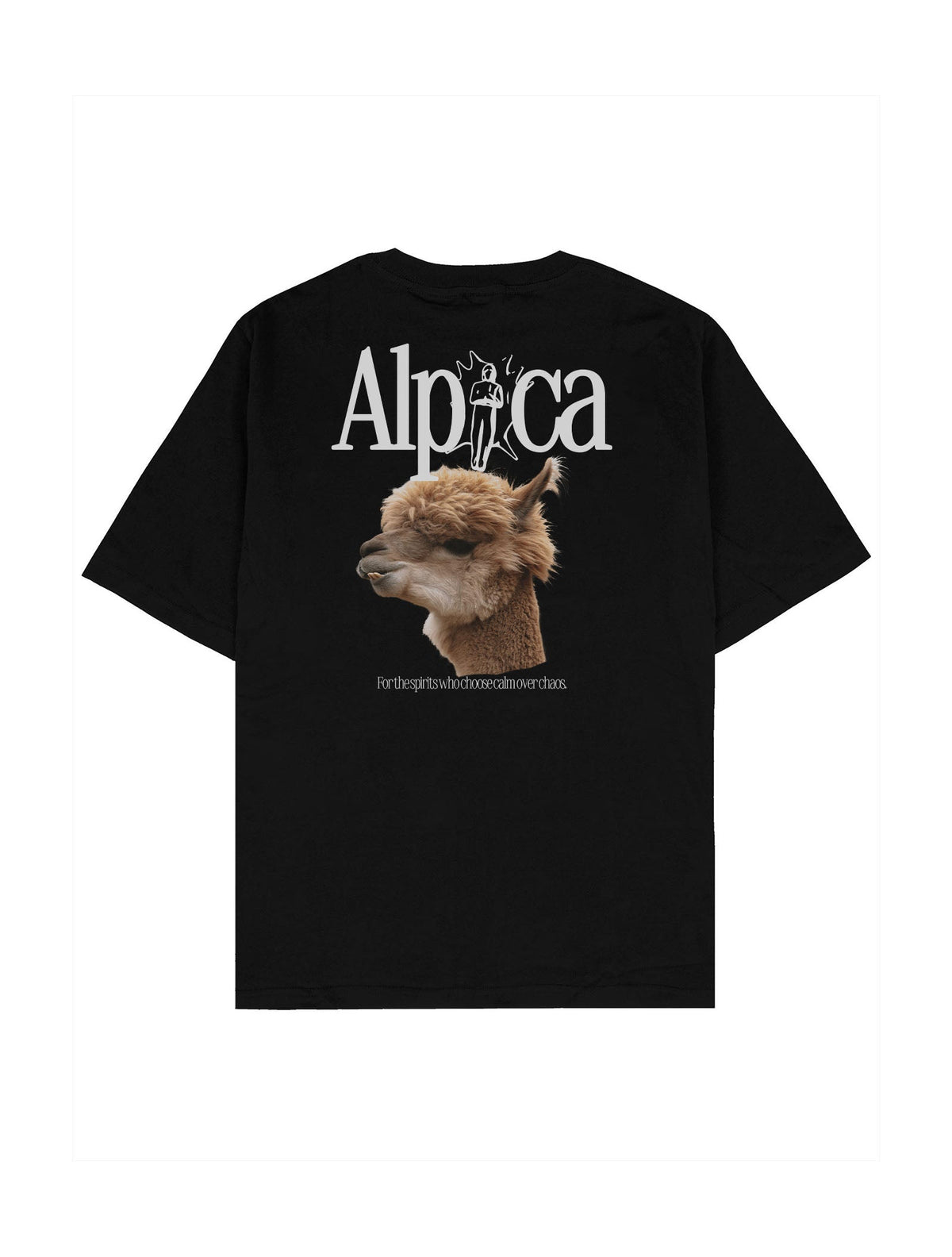 Alpaca Oversize Tişört